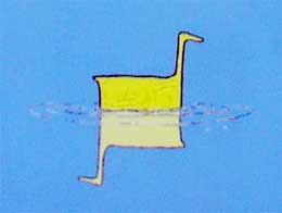duckie.jpg